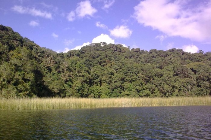 Nariño Amazónico – Plan 5 Días 4 Noches